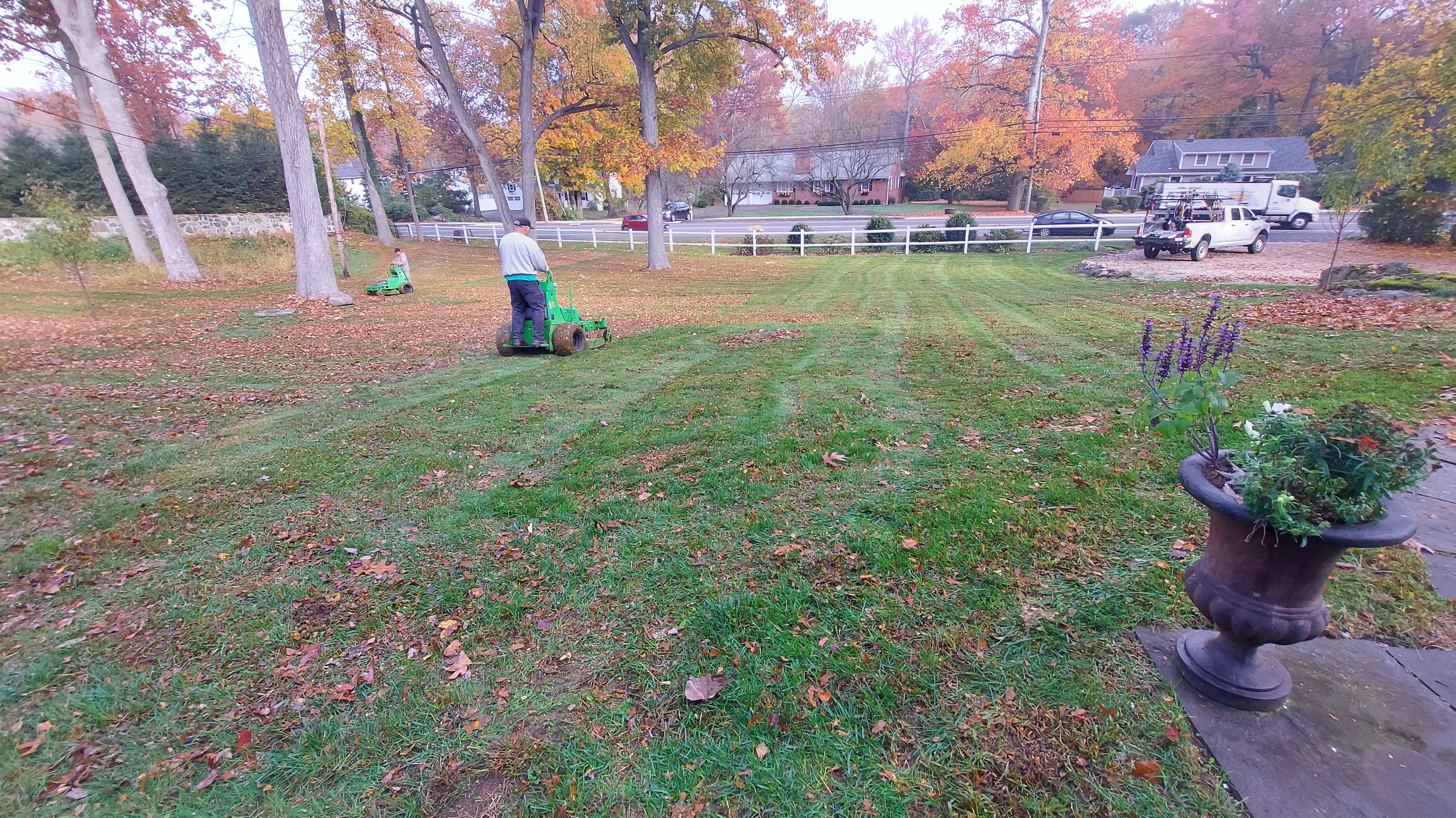 OWM crew operating electric mower through autumn leaves with vibrant fall foliage — Fairfield County, CT