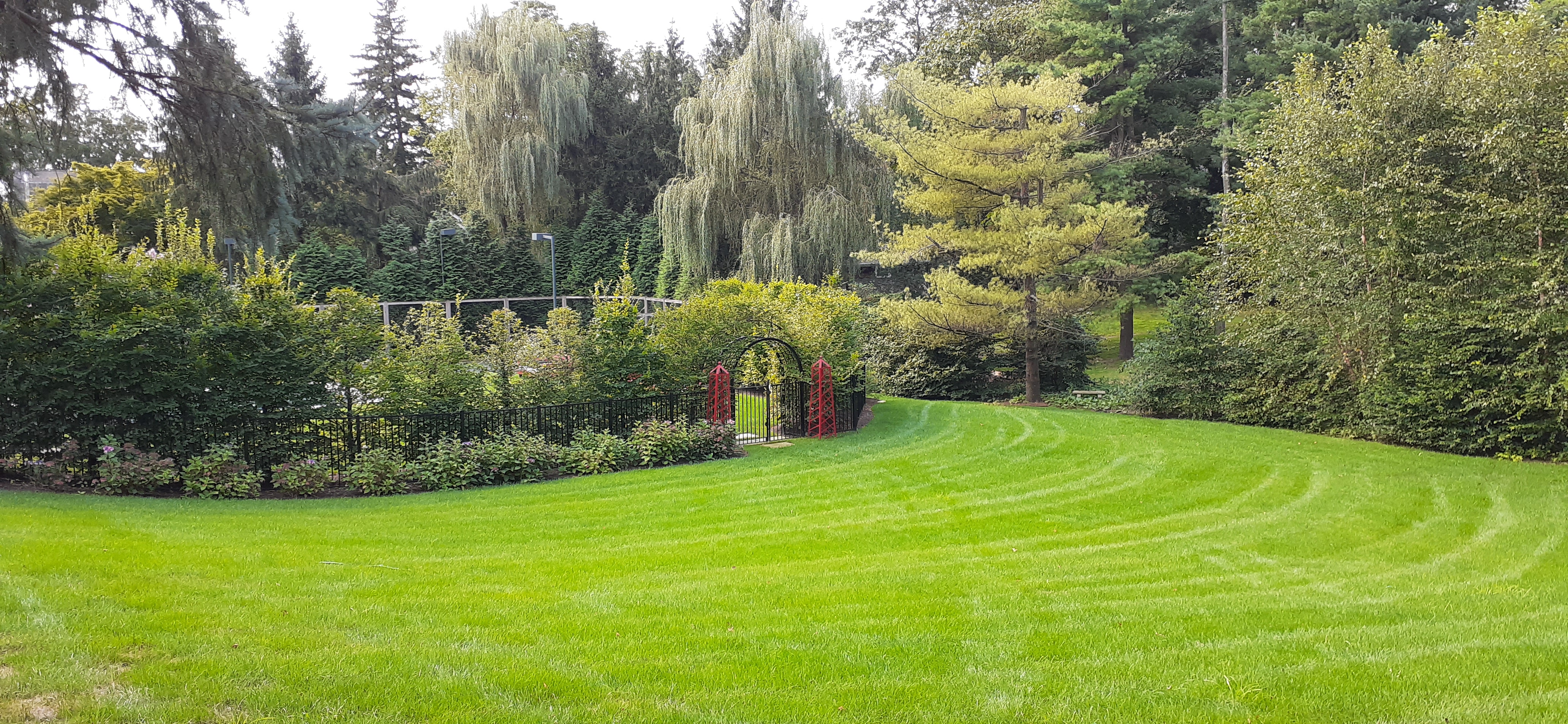 Perfectly striped organic lawn with garden border and gate — Fairfield County, CT