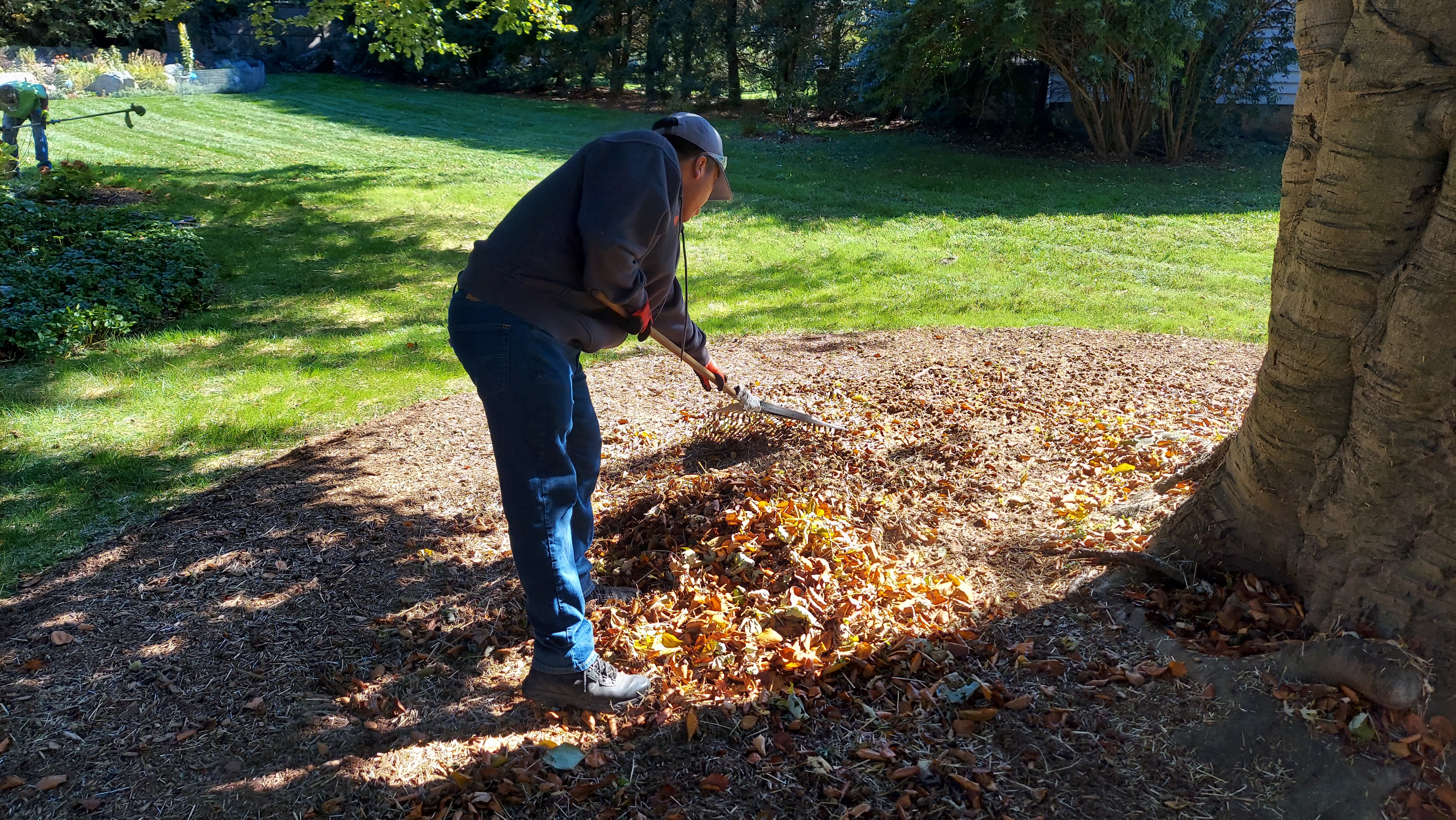 OWM crew member raking autumn leaves with electric blower visible in background