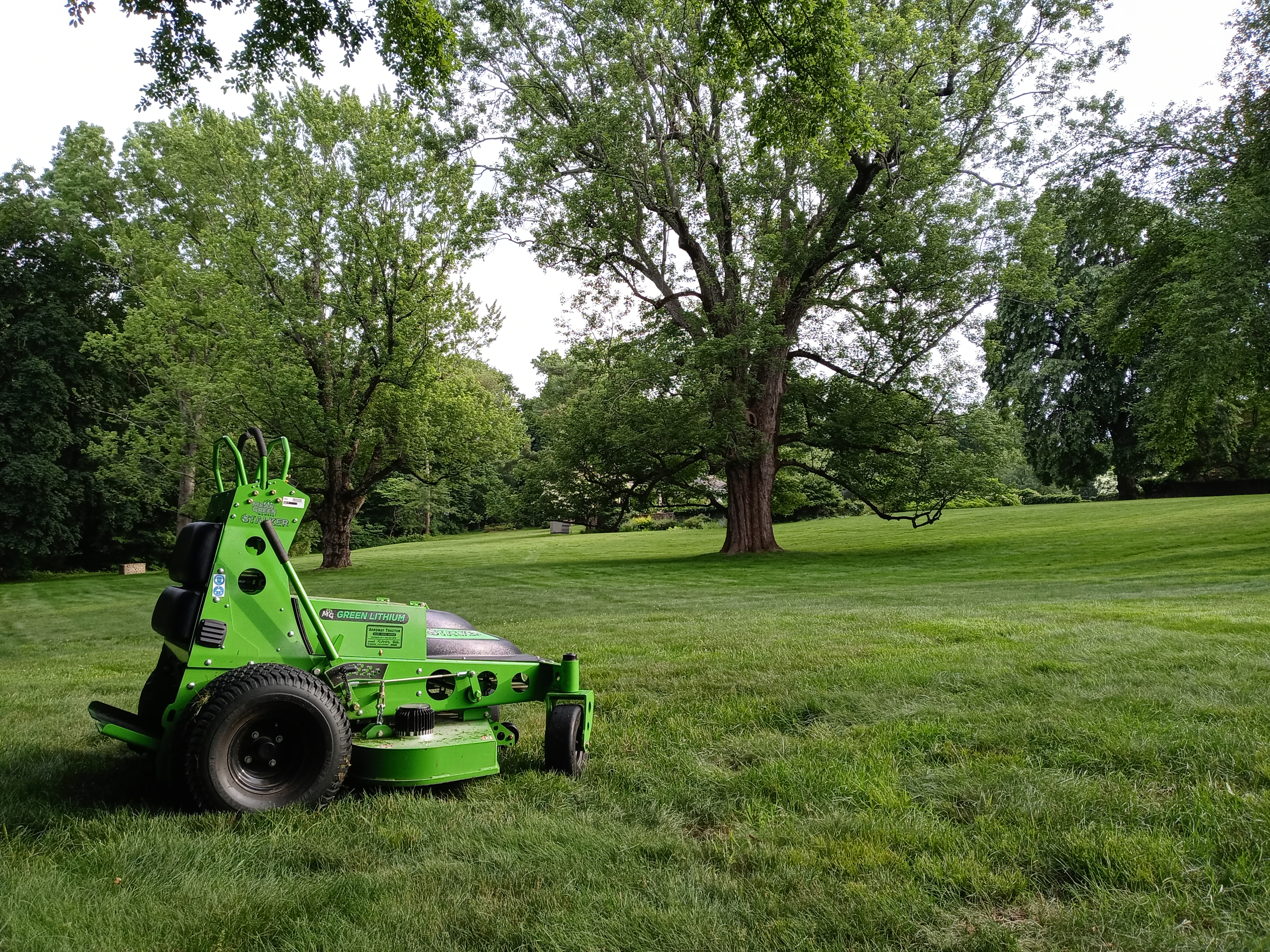 OWM's electric Mean Green mower on a lush property under mature trees